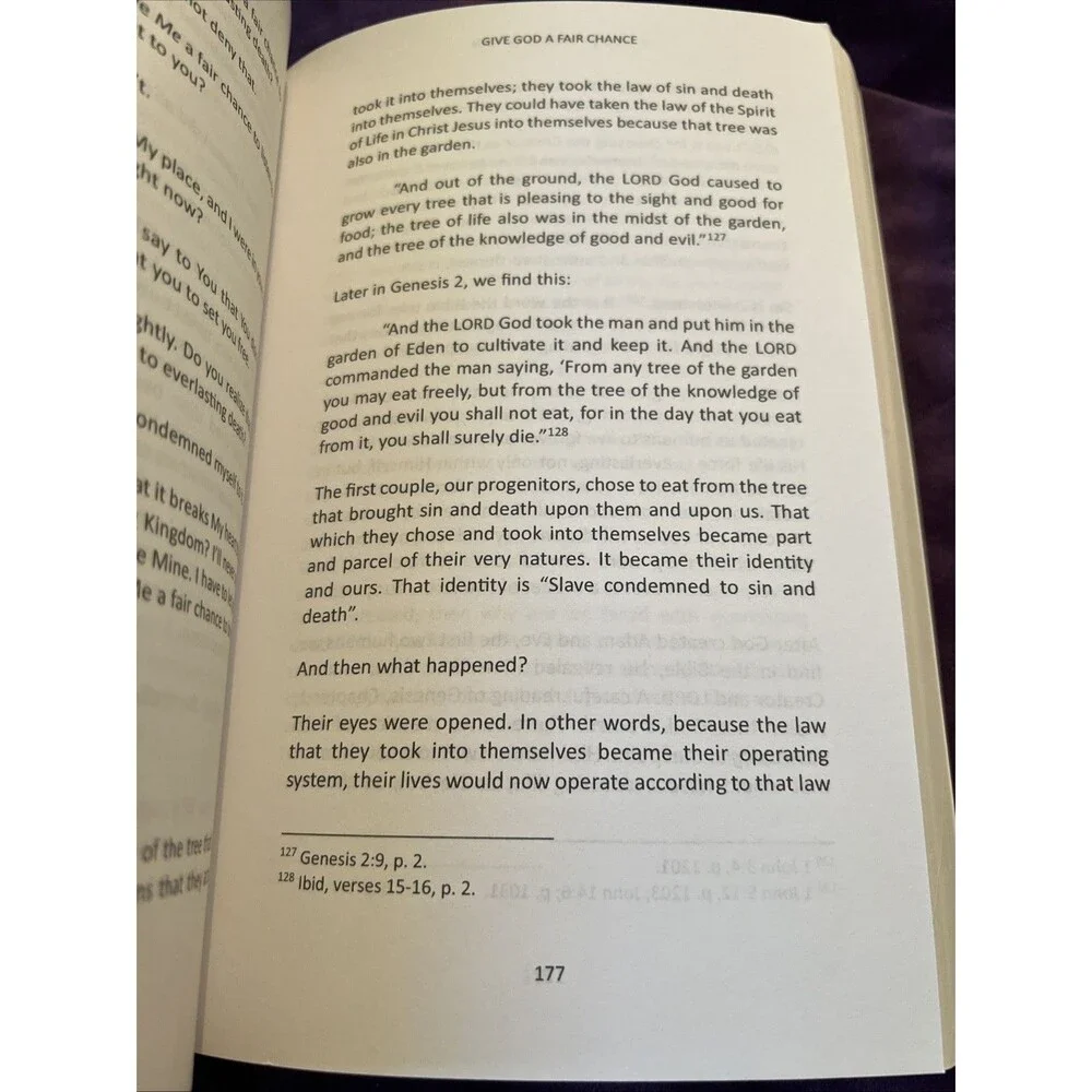 Give God A Fair Chance by Deborah Castille Shelton Paperback Book